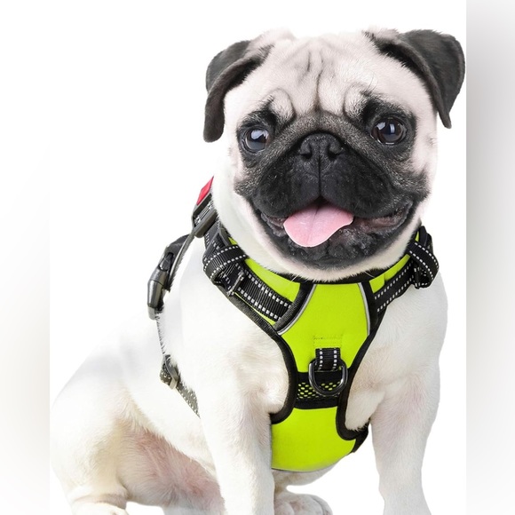Harnesses size M color Green - Picture 5 of 10